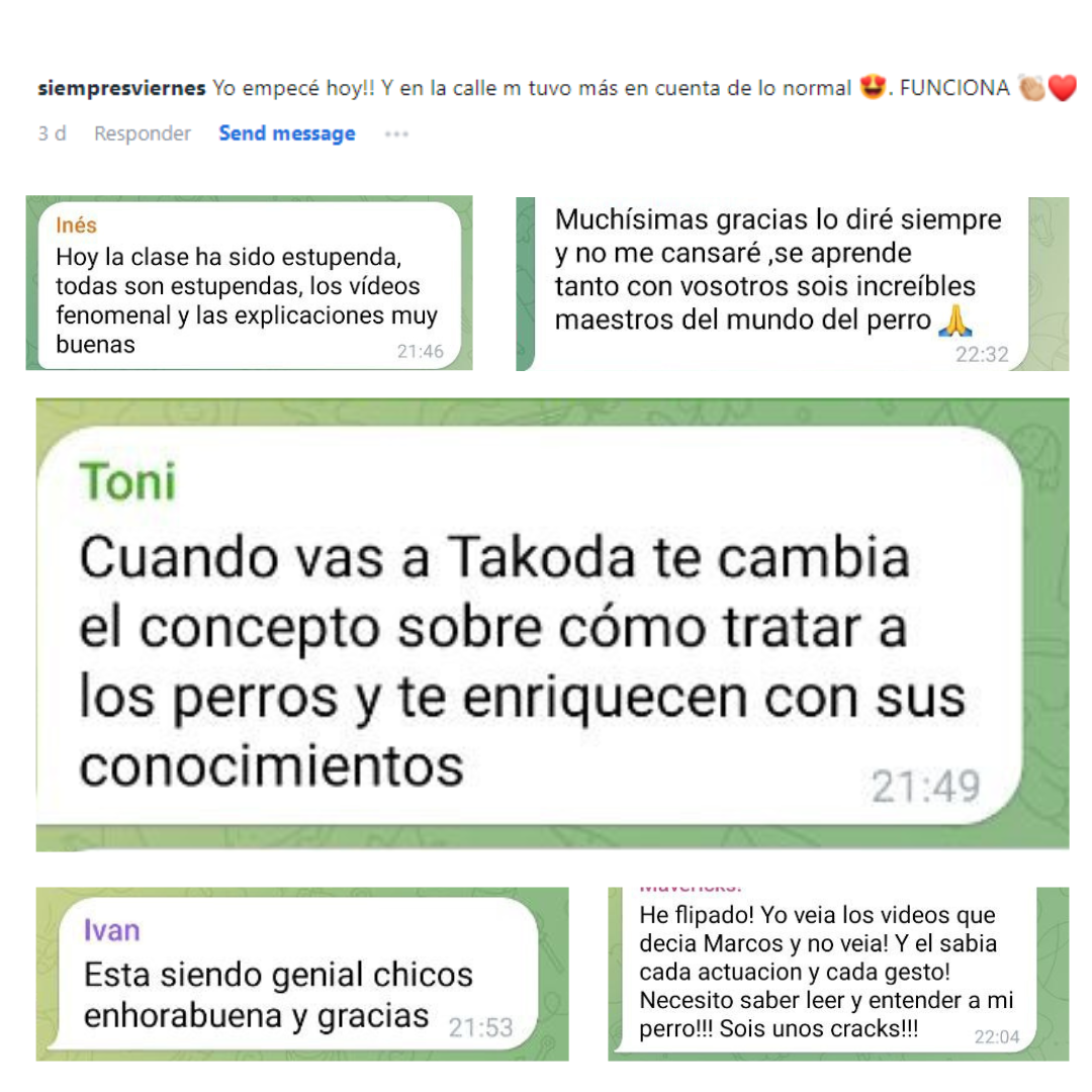 Experiencias reales de tutores