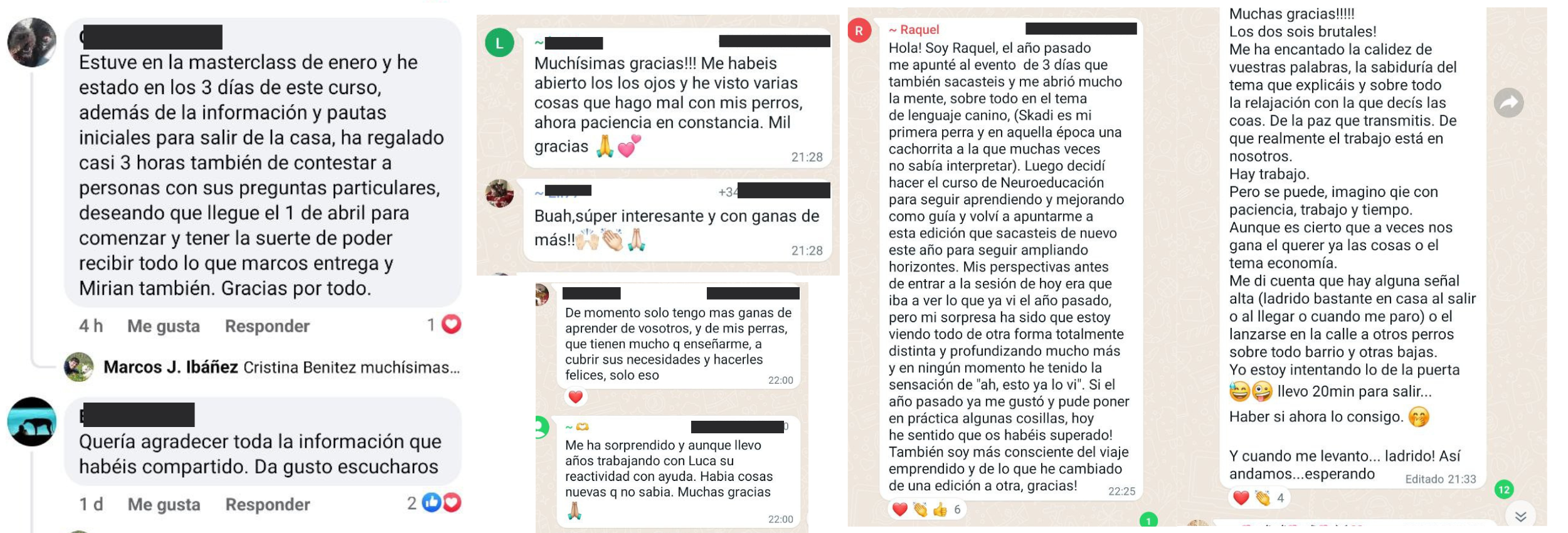 Testimonios de alumnos en chat masterclass